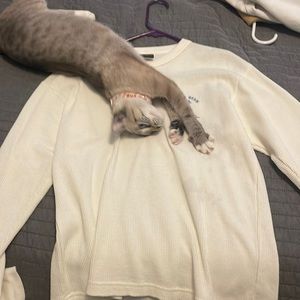 Dark Sea waffle knit from Urban Outfitters